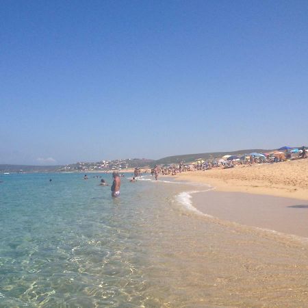 Sardegna-Ferienwohnung Mit Emotionale Meeres Blick Torre dei Corsari Kültér fotó